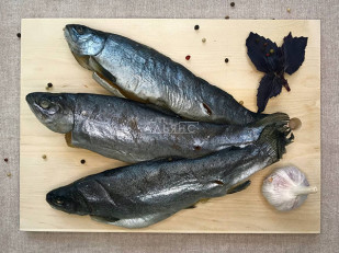 Каталог продукции: Форель радужная вяленая